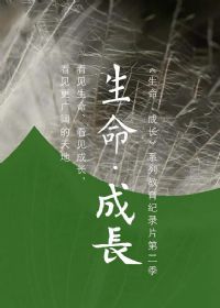 �������ɳ���2��