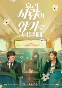 �����ǵİ���ɢ������ʱ