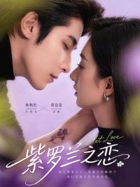 ������֮��