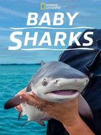 ���㱦���ɳ���