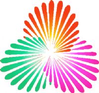 ȫ�˻�Ů���ʸ��� B��-����84.61����20250815