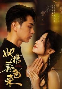 ��Я��ɫ��