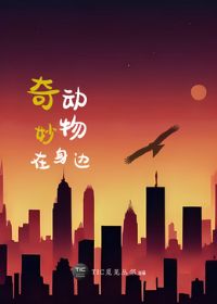 �����������