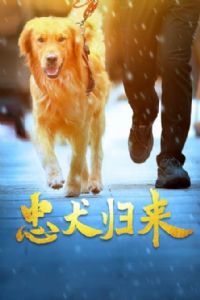 ��Ȯ����