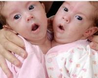 ���ڳ��ˣ�������