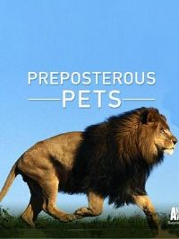 ��������һ��