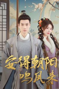 ���ó���������