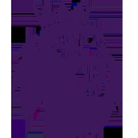 Ӣ�� ������vs������20250914