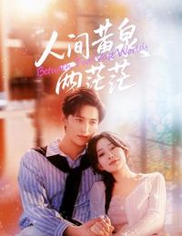 �˼��Ȫ��ãã