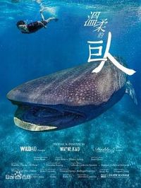 ����ľ���