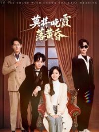 Ī����ϼ��ƻ�