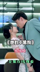 ����С�ǹ�